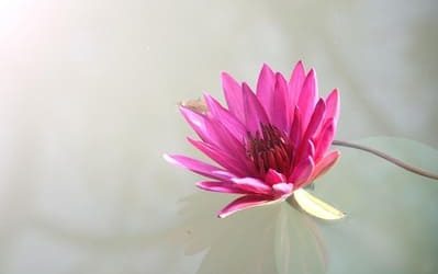 Pourquoi le yoga n’est pas une performance